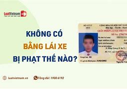 Không Mang Bằng Lái Xe Có Bị Giữ Xe Không