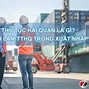 Quy Trình Thực Hiện Thủ Tục Hải Quan