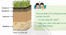 Vệ Môi Trường Của Các Nhân Tố Hình Thành Đất Lớp 6